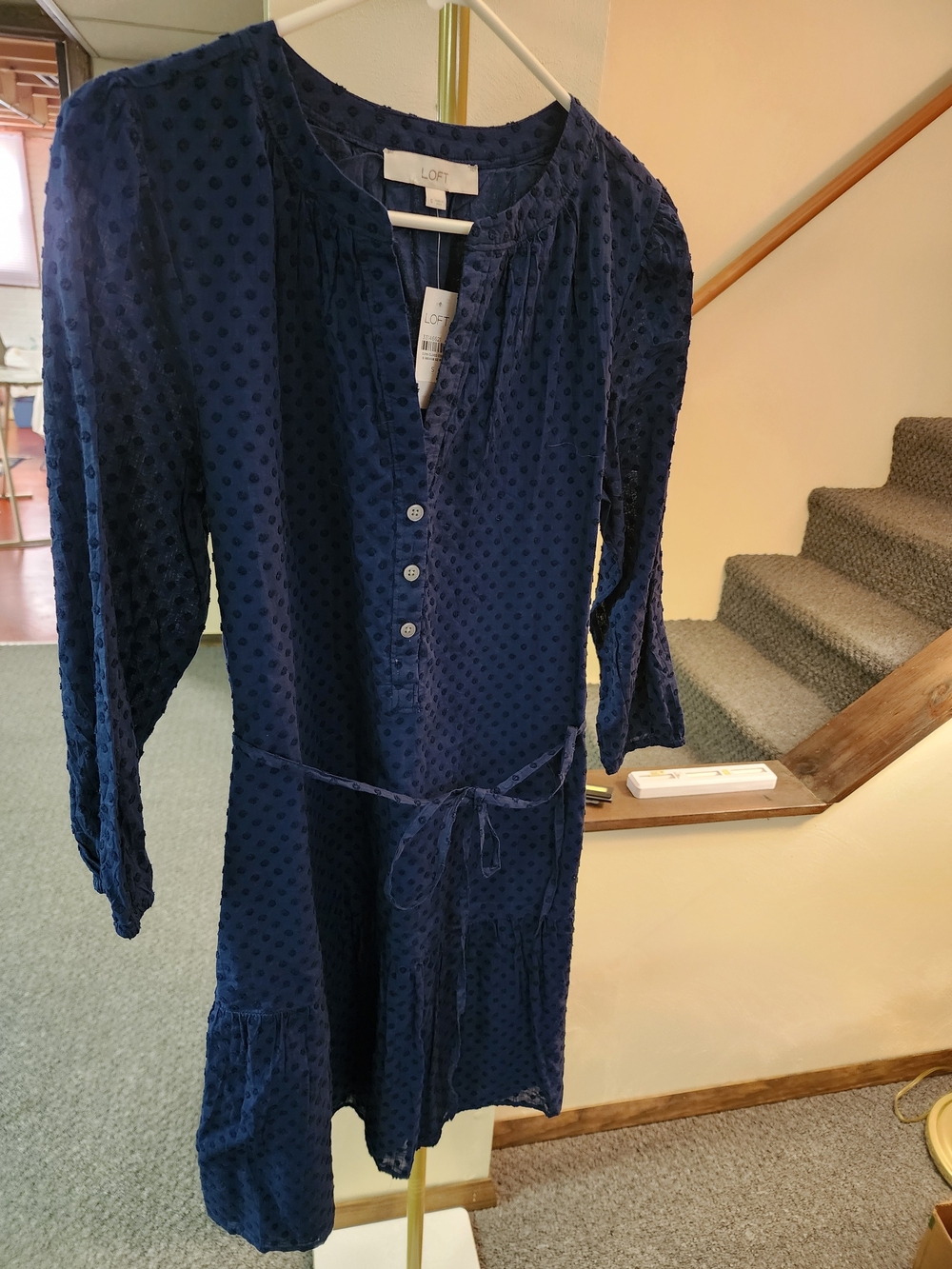 LOFT Women's Navy Blue Swiss Dot Tie-Waist Dress